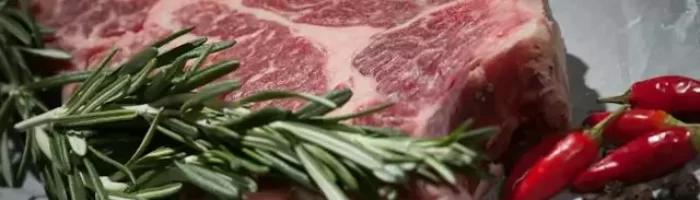 Meat Bison - Top 5 High-Protein Meats -
