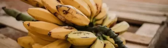 Bananas Help You Build Muscle - Bananas Help You Recover - Benefits of Eating Bananas