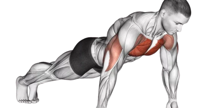 push-ups All Push Ups Exercises - Push Up