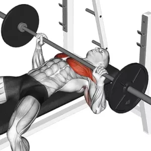 Barbell Bench Press - All Chest Exercises - Chest workout