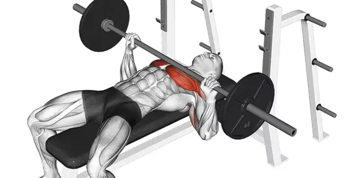 barbell-bench-press Barbell Bench Press - All Chest Exercises - Chest workout