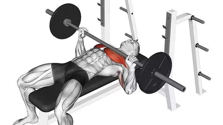 Barbell Bench Press - All Chest Exercises - Chest workout