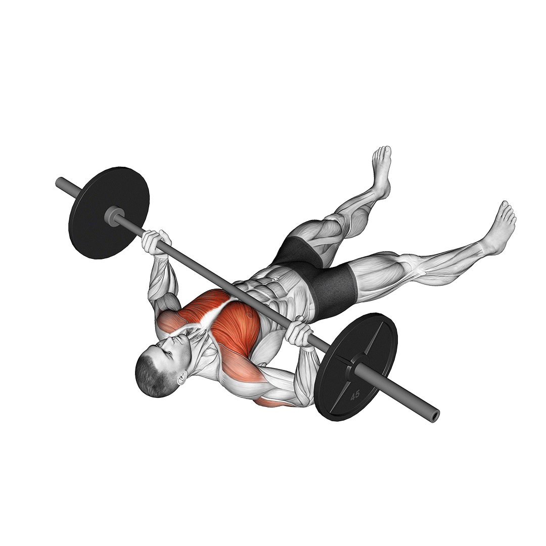 Barbell Floor Press - All Chest Exercises - Chest workout