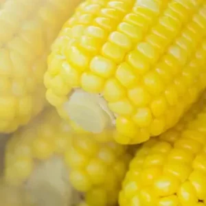 Corn