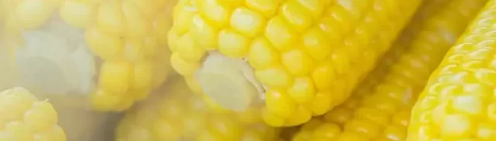 Corn