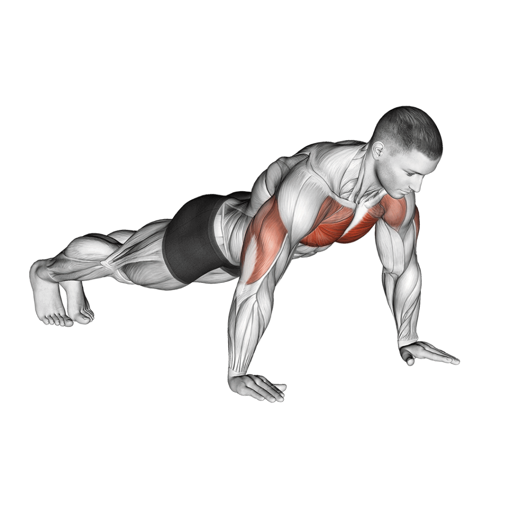 Push Up - All Chest Exercises - Chest workout
