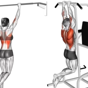 All Pull Up Workouts - Pull Up