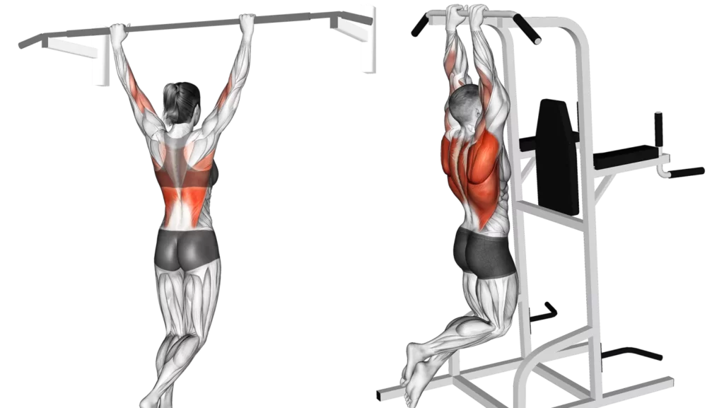 All Pull Up Workouts - Pull Up