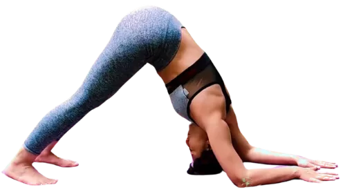 Ardhapinchamayorasana