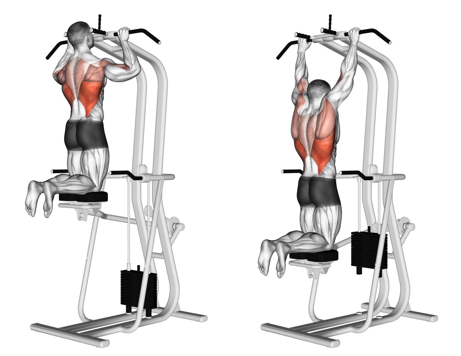 Assisted Pull Up - All Pull Up Workout - Pull Up