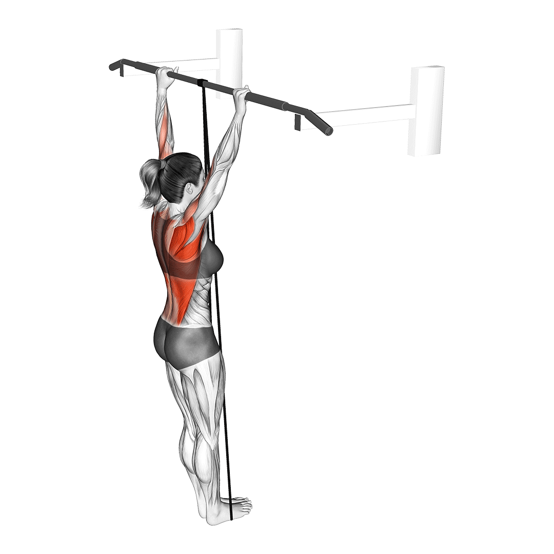 Band Assisted Pull Up - All Pull Up Workout - Pull Up
