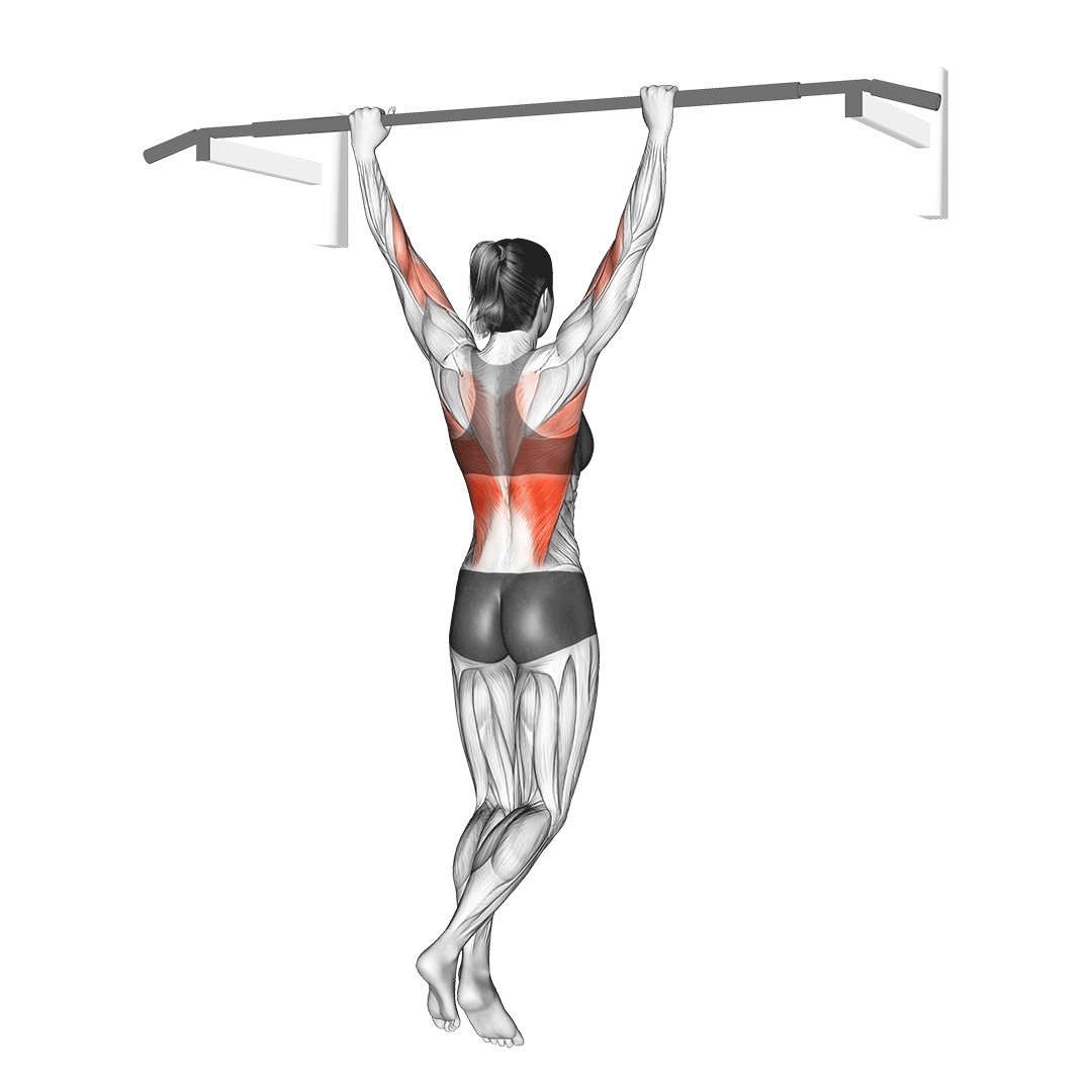 Behind-the-neck Pull Up - Pull Up