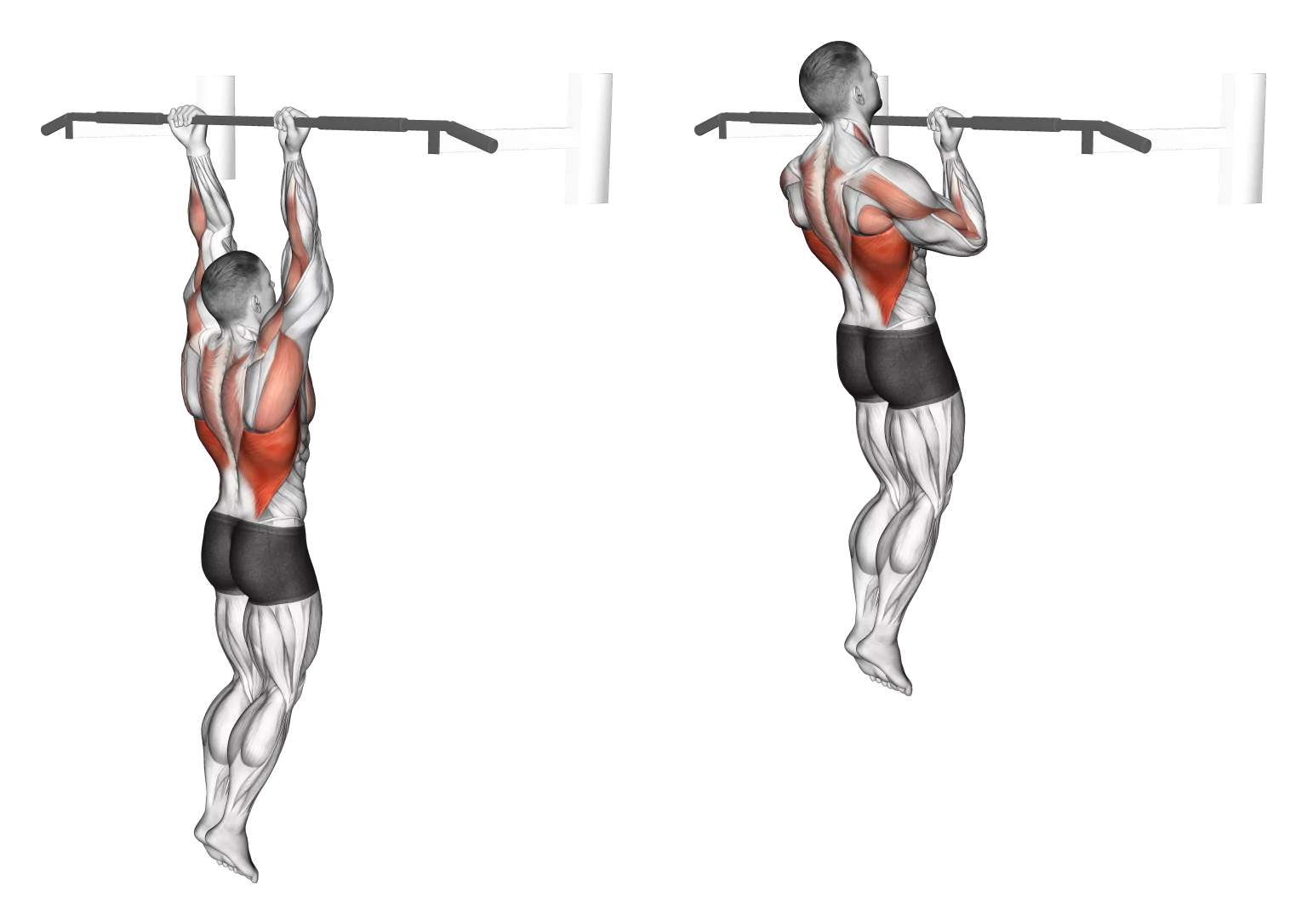 Chin Ups - All Pull Up Workout - Pull Up