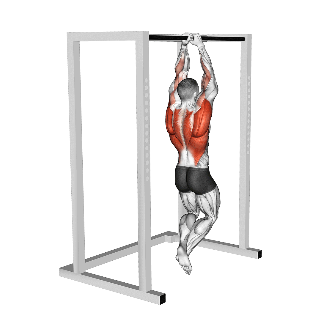 Commando Pull Ups - All Pull Up Workout - Pull Up