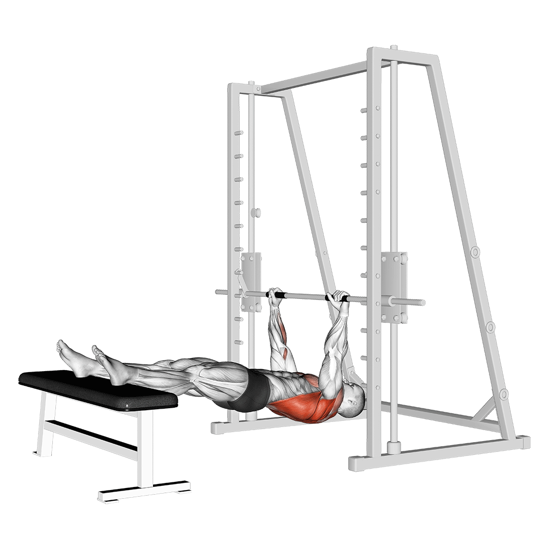 Feet Elevated Inverted Rows - All Pull Up Workout - Pull Up