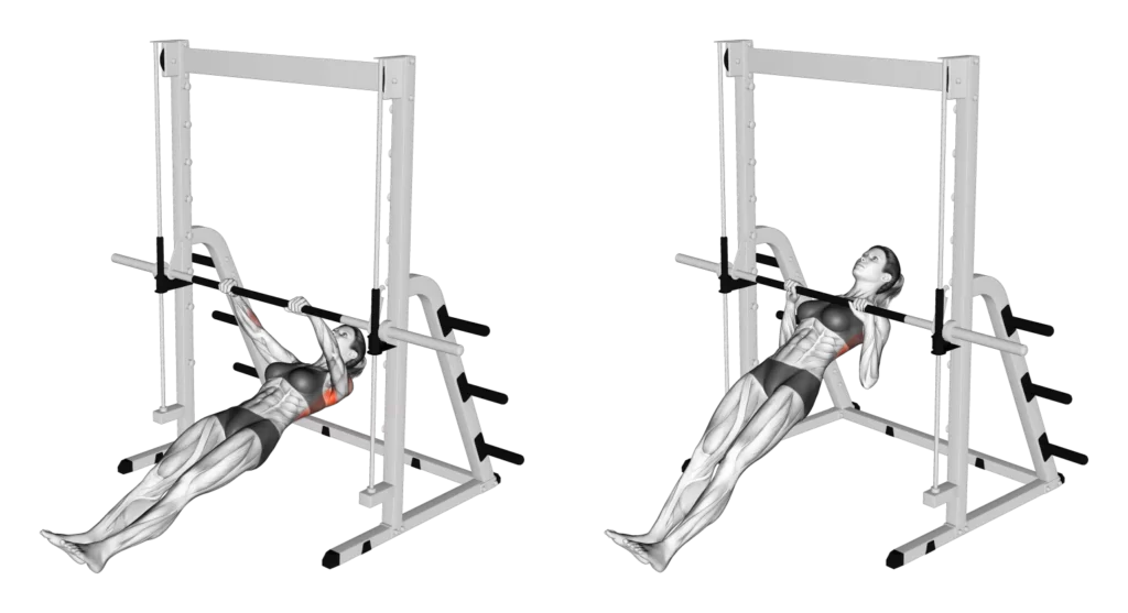 Inverted Row - All Pull Up Workout - Pull Up