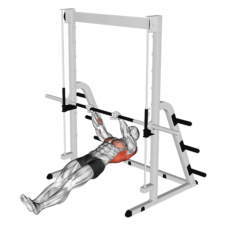 inverted-row - Inclined Pull Ups - Pull Up