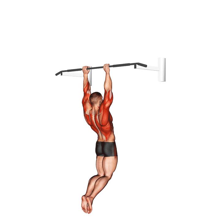 Muscle Up - All Pull Up Workout - Pull Up