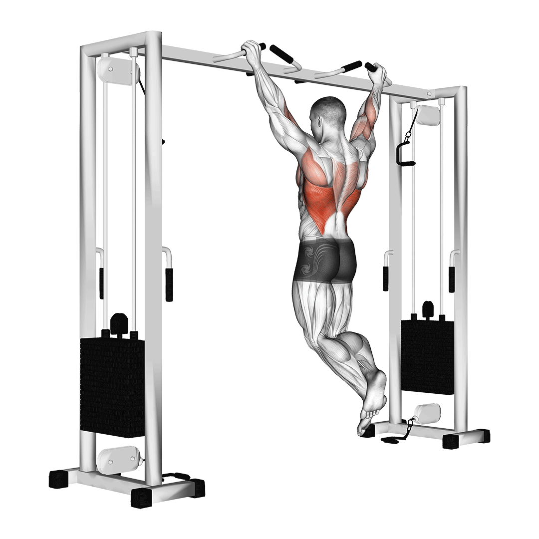 All Pull Up Workout - Pull Up