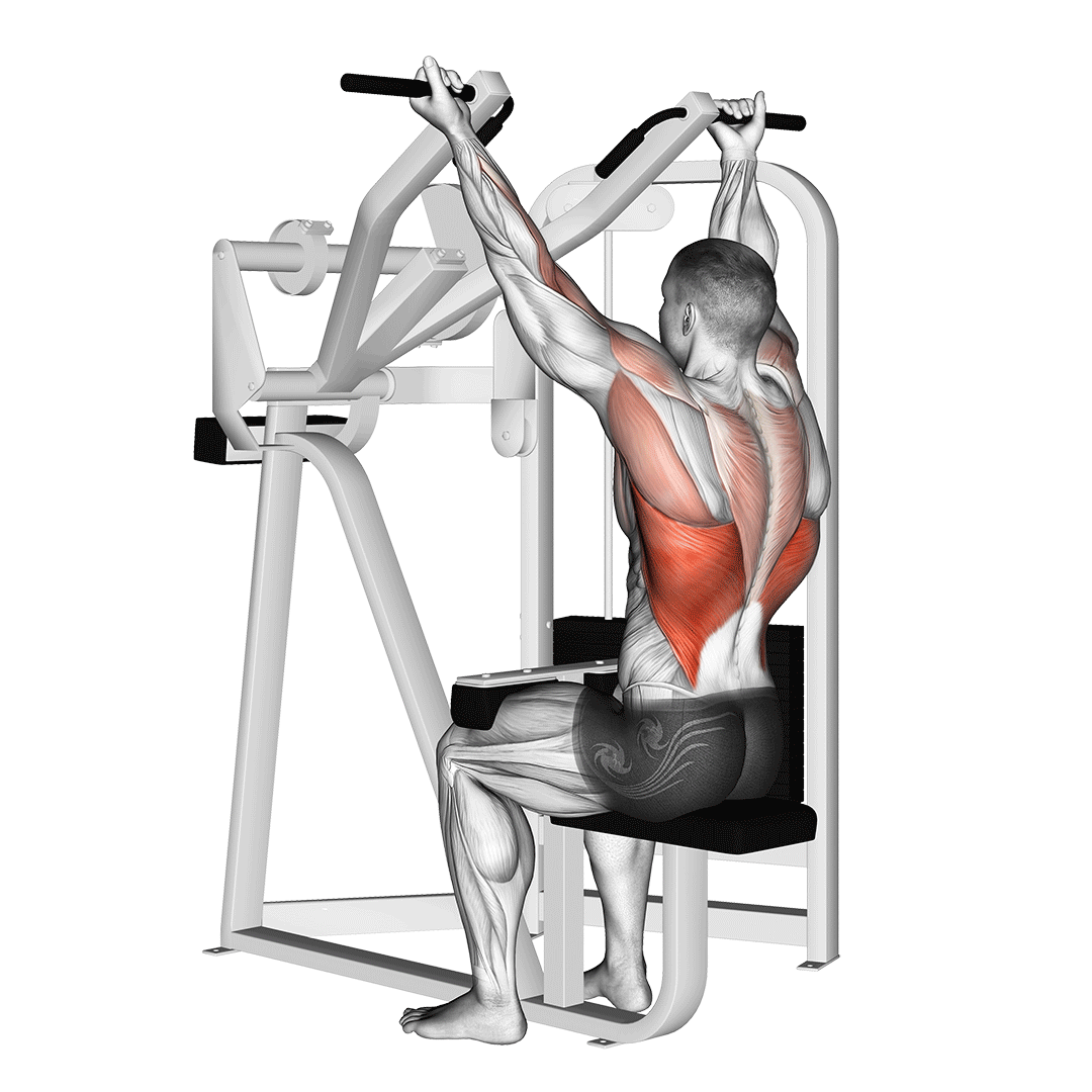 Underhand Grip Lat Pulldowns - All Pull Up Workout - Pull Up