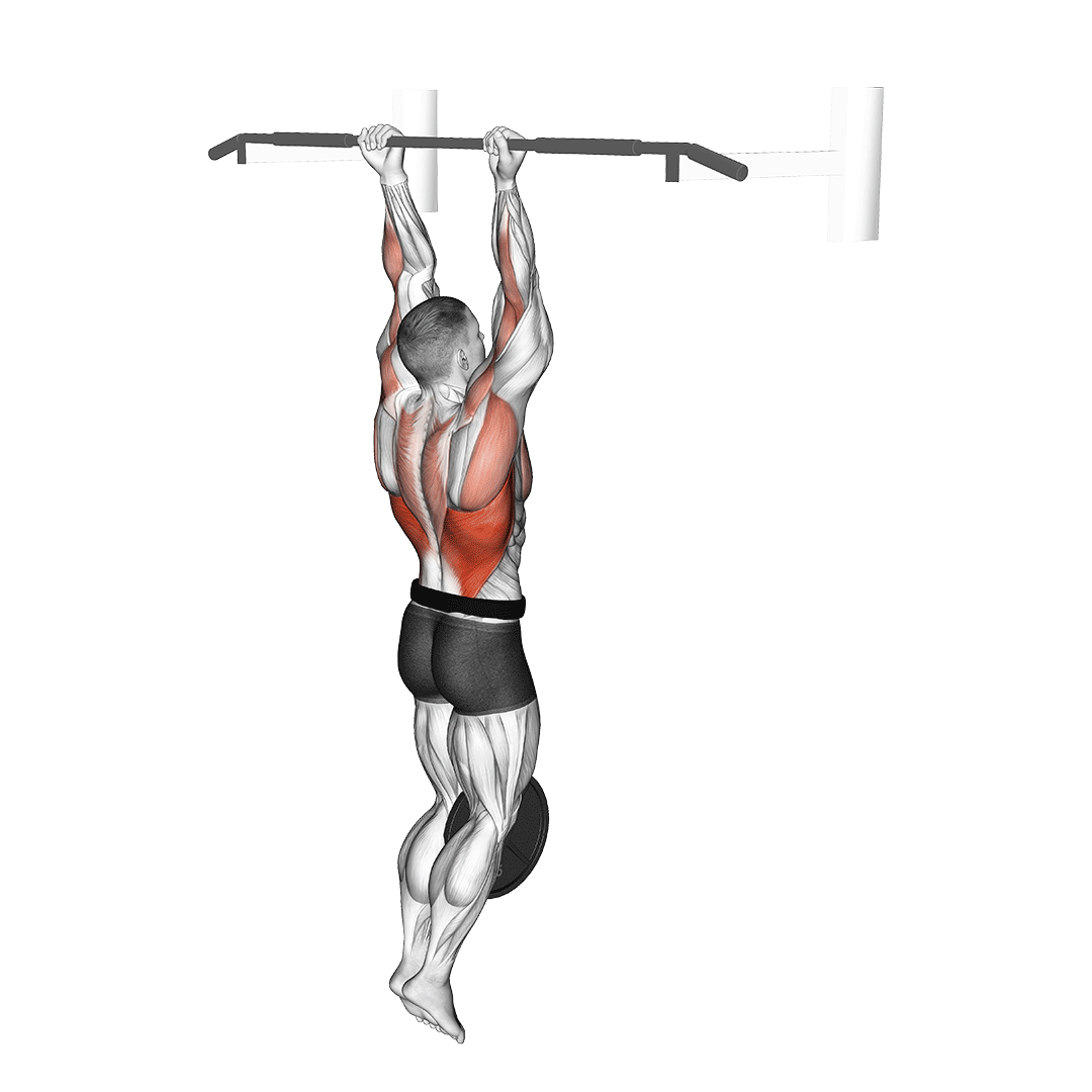 Weighted Chin Ups - All Pull Up Workout - Pull Up