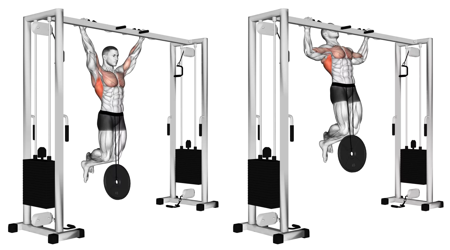 Weighted Pull Ups - Pull Up