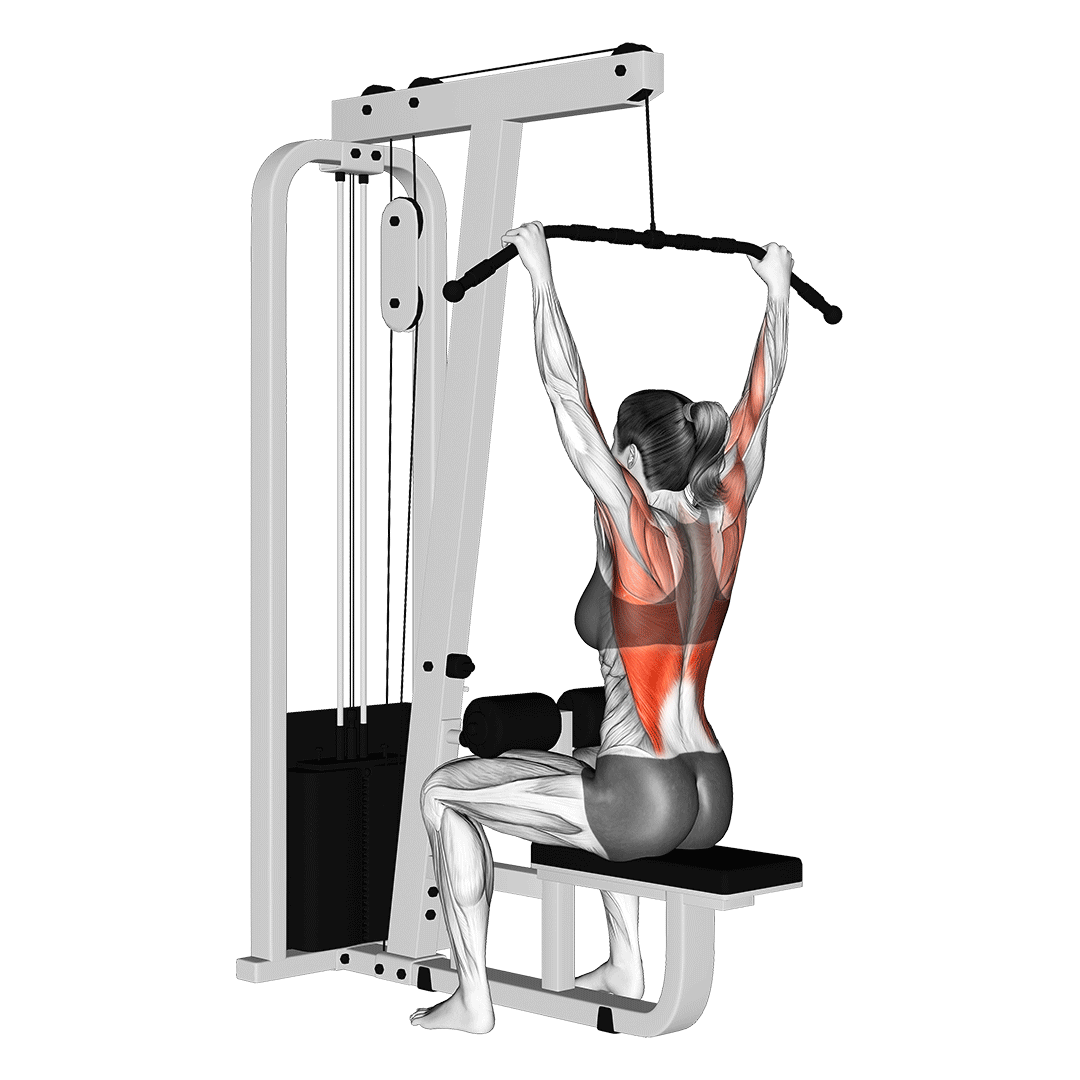 Lat Pulldowns - All Pull Up Workout - Pull Up