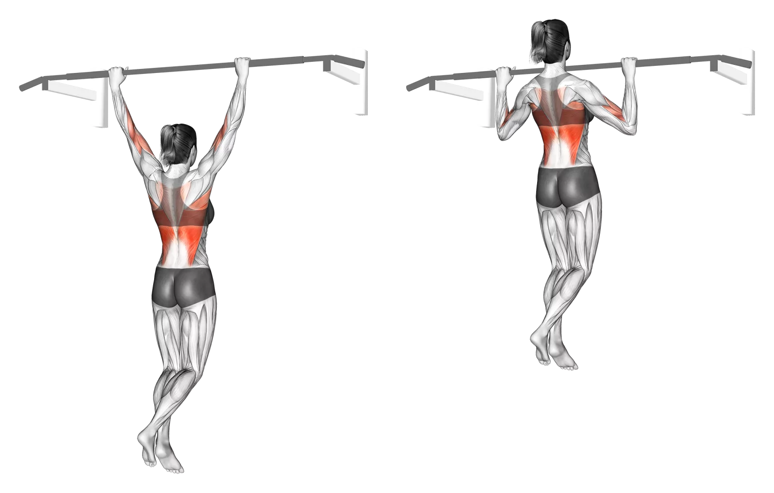Wide Grip Pull Up - Push Up