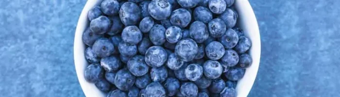 Blueberries - Benefits of Blueberries