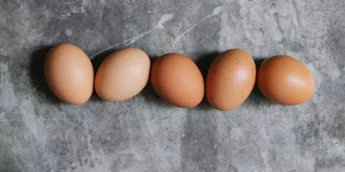 benefits-egg Benefits Eggs -