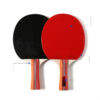 Double Ping Pong Racket